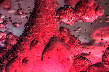 人类健康健康的红血细胞抽图片