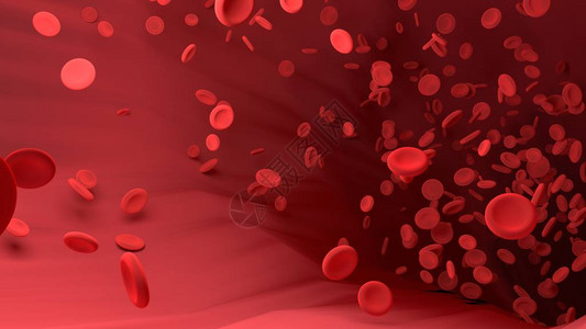 身体血管中的红血细胞学校教育的科学图象图片
