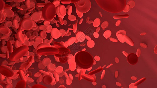身体血管中的红血细胞学校的科学图象图片