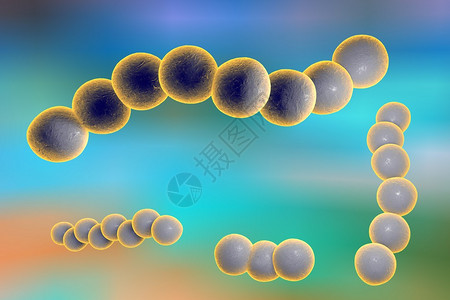 血液中链球菌的三维绘图化脓链球菌细菌模型微生物球形细图片