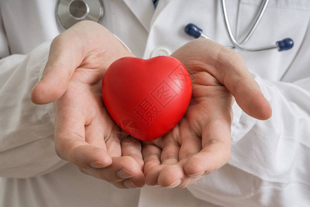 心脏移植概念医生手里握着图片
