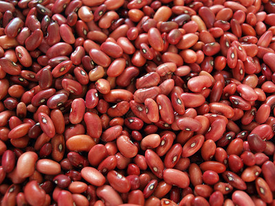 浸泡红豆的特写照片背景图片