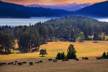 人类发展报告在布加里亚山丘上日落图片素材