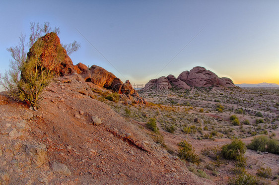 在亚利桑那州菲尼克斯的帕戈公园仙人掌和沙石丘陵的索图片
