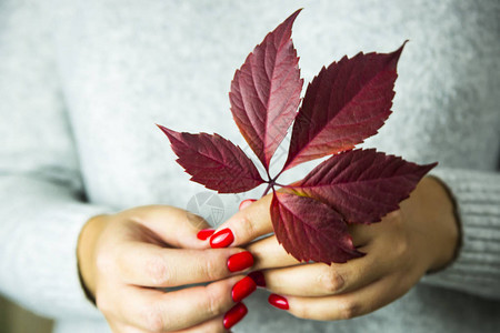 一个红修指甲的女孩手里带着红色长背景图片