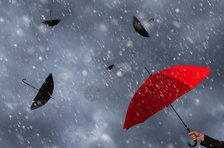 大量的黑色雨伞中的红色雨伞图片