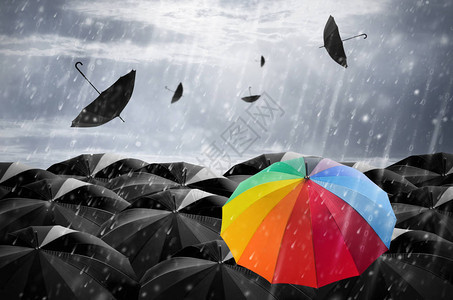 雨下时黑伞质量中的黑色雨背景图片