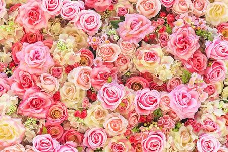 美丽的七彩玫瑰背景背景图片