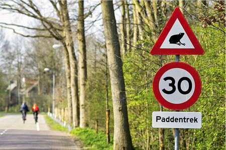 速度限速标志和警告要小心的注意青蛙在车身背景中与骑自行图片