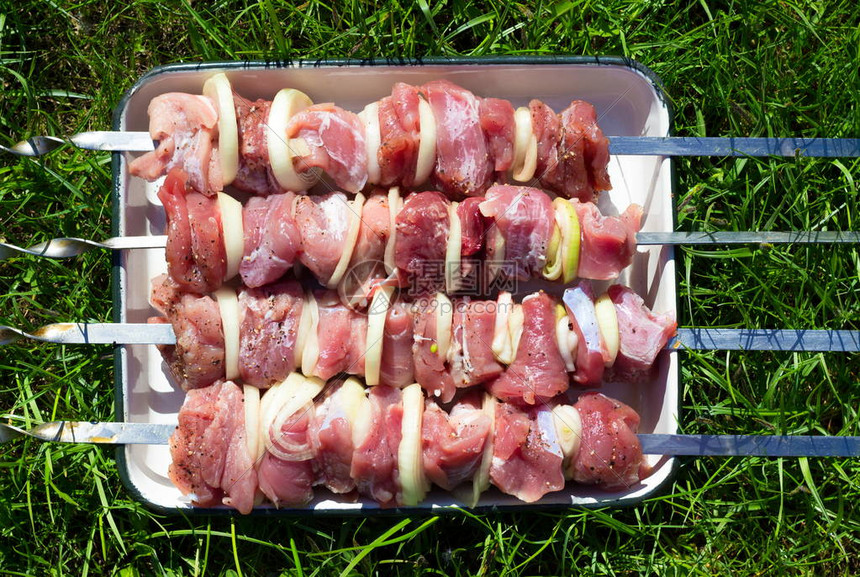 生肉片与新鲜洋葱串或烤羊肉串躺在绿草背景下的白盘上图片
