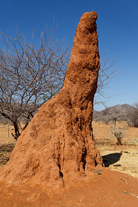 非洲巨型红橙色白蚁丘图片