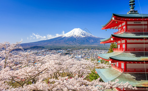 富士山与ChureitoPagoda一起在日本Fujiyoshid图片