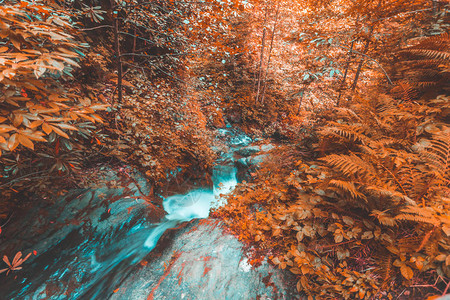 马拉尔瀑布的软秋天风景图片