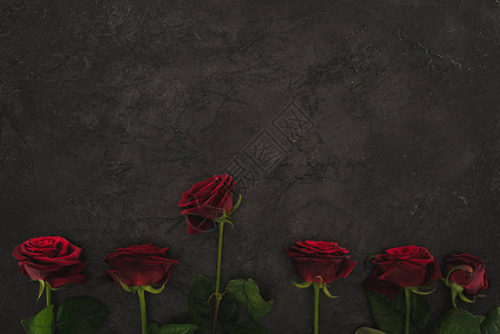 深色表面上排列的红玫瑰的顶视图背景图片