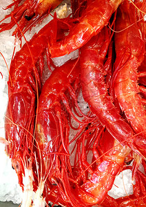 市场上的鲜红虾图片