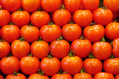 西红柿的特写非常适合插图图片