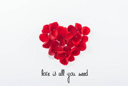由红玫瑰花瓣组成的心脏顶部视图孤立在白色的圣情人节日概念爱就图片