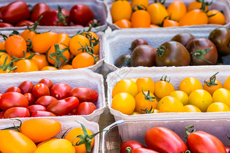 在农民市场展示的小西红柿在农图片
