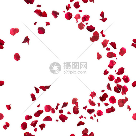 无缝红玫瑰花瓣微风摄影棚在图片