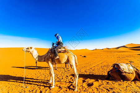 在摩洛哥沙漠中骑骆驼旅行的骆驼女孩近在摩洛哥的下游M背景图片