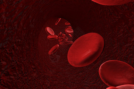 血管显微镜观察红细胞红细胞背景科学背景医学背景循环系统图片