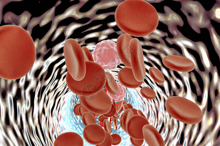 装有红血细胞和白血细胞的血图片