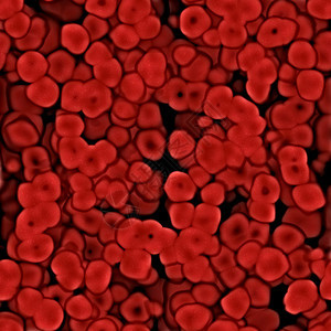 红细胞流经身体的插图图片