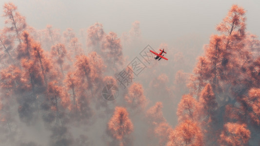 雾松上空的单引擎飞机图片
