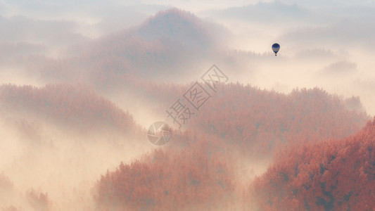 带热气球的迷雾秋松林空中图片