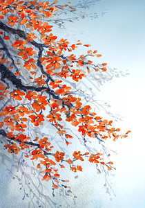 水彩绘画飘香的樱花悬枝图片