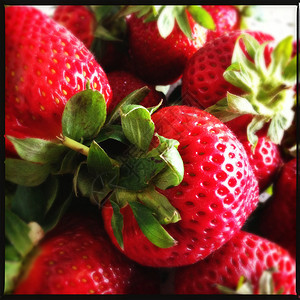 成熟草莓的特写图片