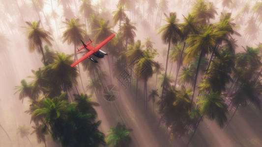固定翼红小飞机空中在浓密棕榈树林上与日光束相背景
