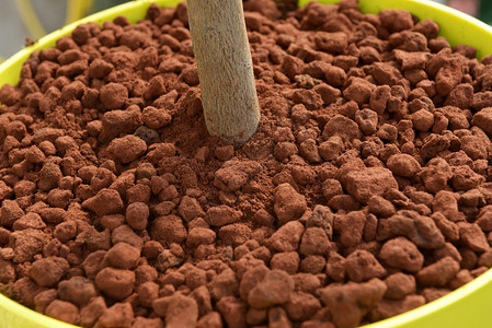 红粘土用作在新土壤顶上安排的陶植物中的泥浆和该植物干图片