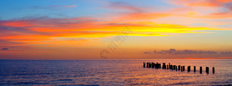 日落或日出景观美丽自然的全景色彩缤纷的红色橙色和紫色云彩的海滩反映在海水和旧码头的柱子上摄于美国佛罗里图片