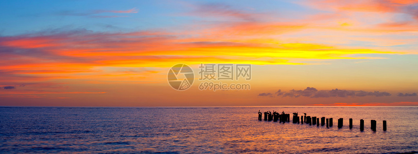 日落或日出景观美丽自然的全景色彩缤纷的橙色和紫色云彩的海滩反映在海水和旧码头的柱子上摄于美国佛罗里图片