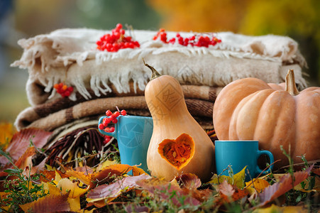 典型的感恩秋天浪漫的静世生活有堆叠的格子小南瓜红图片