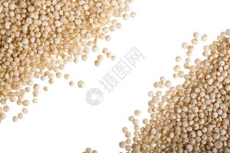 白色的quinoa种子在白背景上被孤立图片