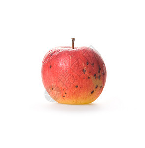 成熟的腐败红苹果在白色背景下被隔离图片