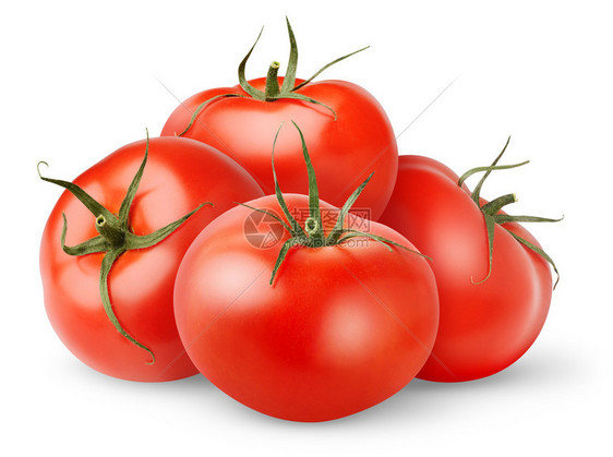 新鲜的西红柿上白色孤立图片