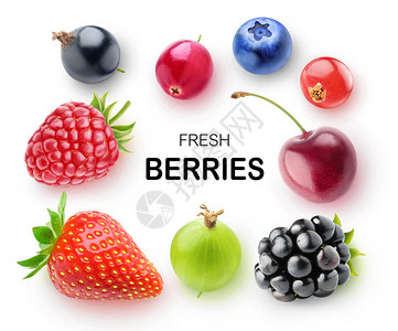 草莓覆盆子黑莓蓝莓蔓越莓樱桃醋栗和黑醋栗图片