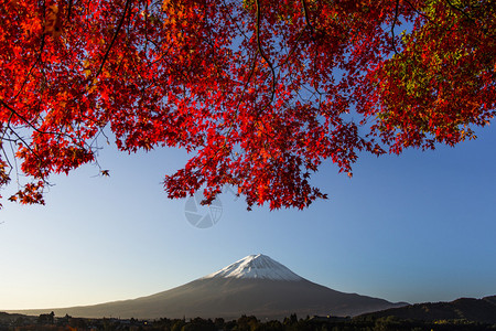 富士山与红秋叶日本图片
