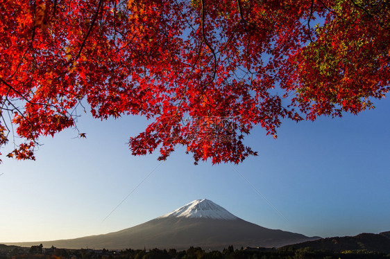 富士山与红秋叶日本图片