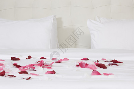 酒店房间有大床和红花图片