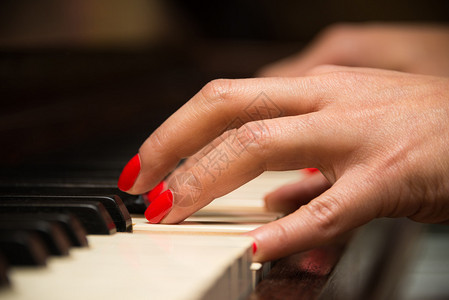 女钢琴家手特写和钢琴键盘图片