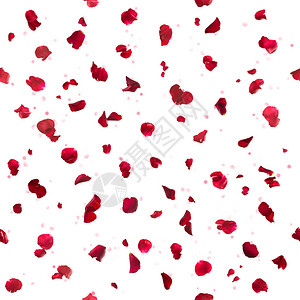 无缝的红玫瑰花瓣图片