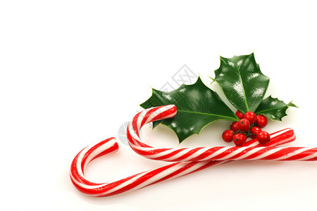 白色背景上有冬青树枝的圣诞糖果棒背景图片