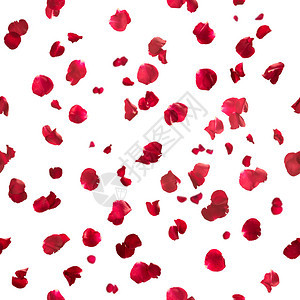 红色的可重复玫瑰花瓣图片