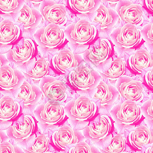 粉红茶玫瑰花无缝花纹理图片
