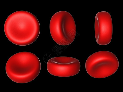 黑色上分离的血细胞红细胞3图片
