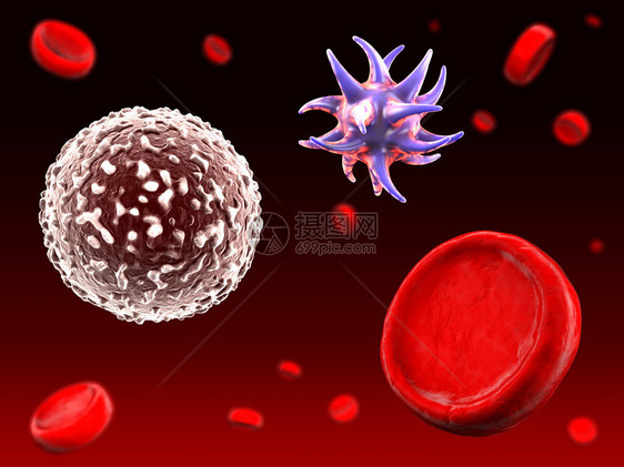 白血球红血细胞和血浆中漂浮的tom图片